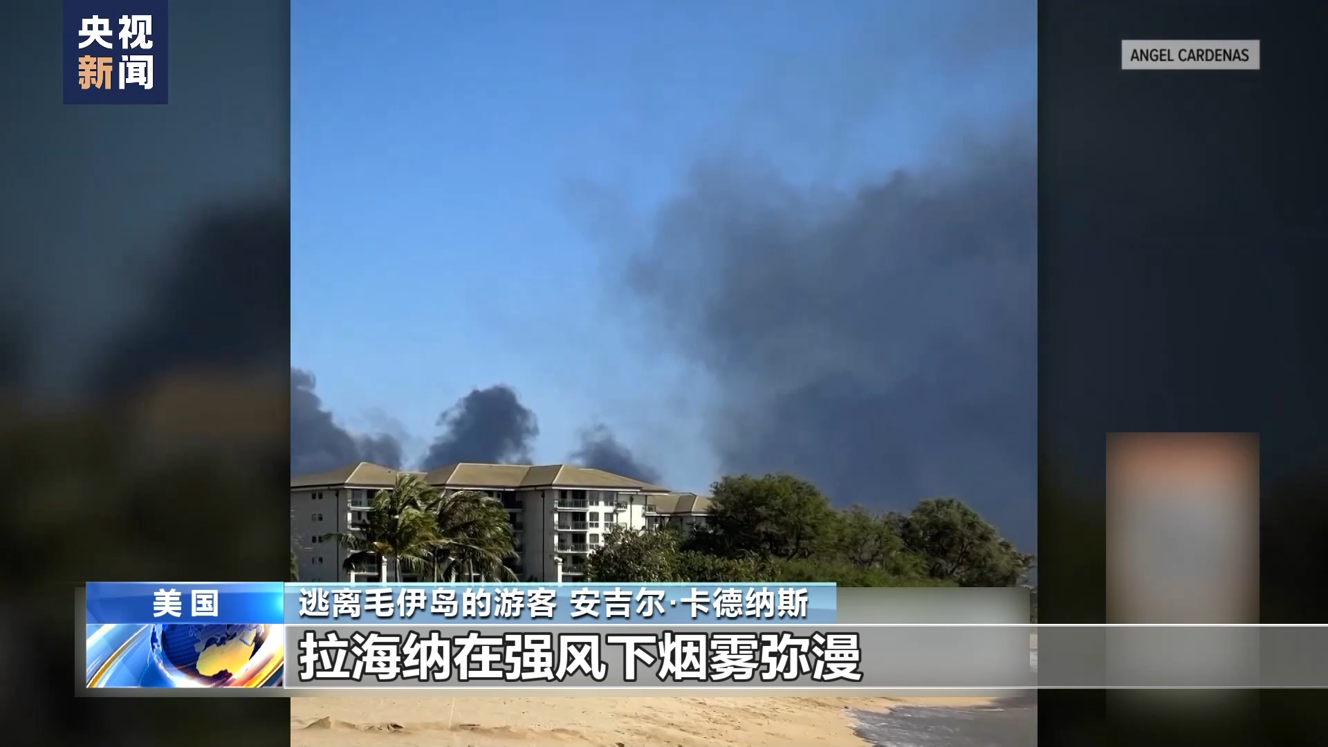 美国游客回顾夏威夷毛伊岛大火逃生经历：像是路过核爆原点
