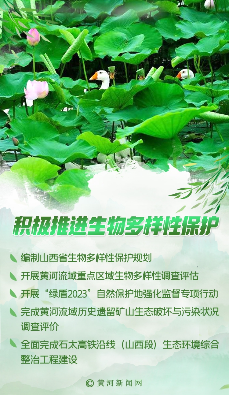 奋进的春天｜解锁生态新“密码” 不负山水不负卿