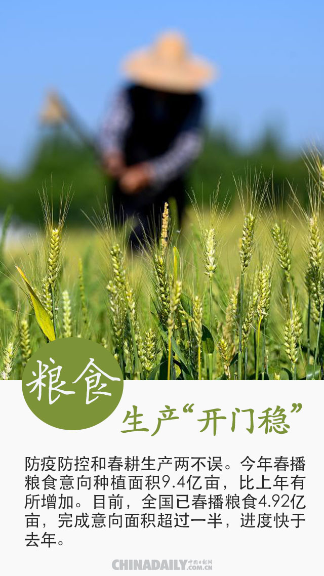 全国一盘棋：疫情防得住 经济稳得住 发展更安全