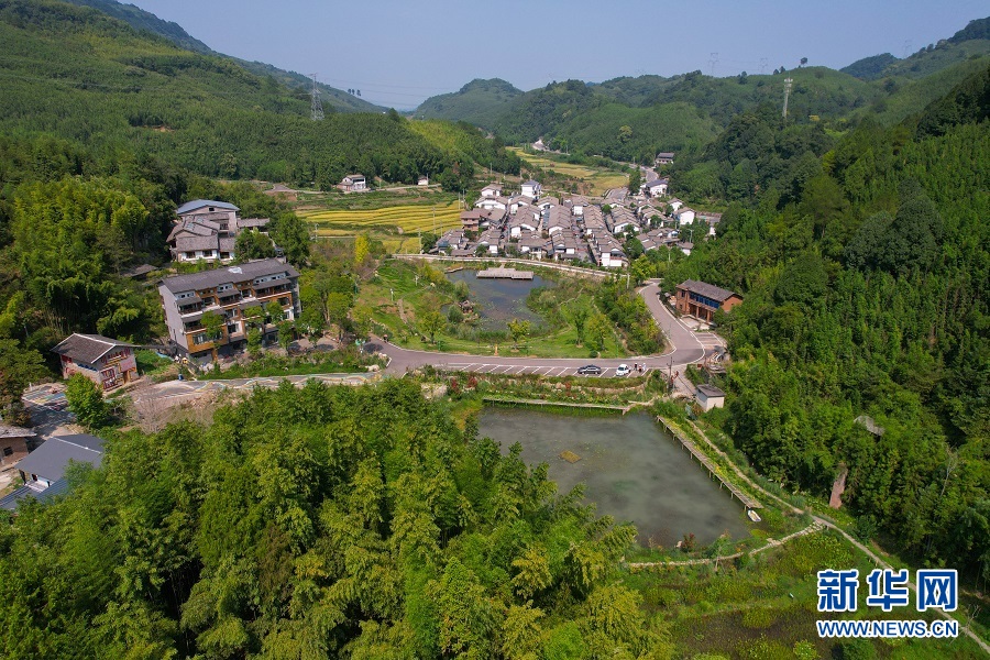 竹海、民宿、美食 重慶建設(shè)生態(tài)宜居美麗鄉(xiāng)村觀察