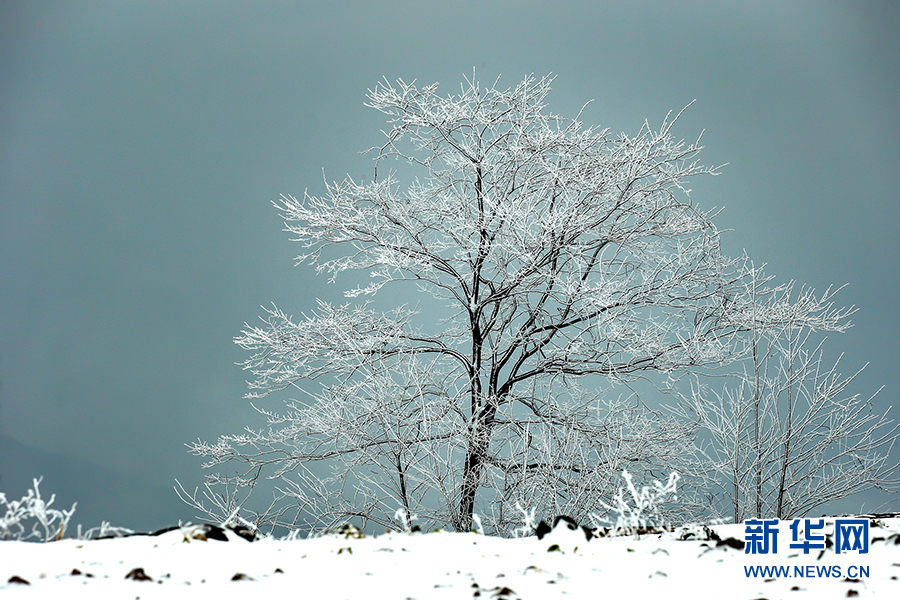 長江三峽迎春雪 綠水青山換雪裝