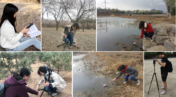 國(guó)際森林日丨城市森林公園建設(shè)：不負(fù)生態(tài)修復(fù) 不負(fù)城市春光