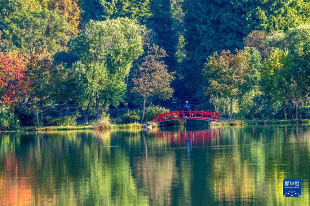 秋意浓 景如画