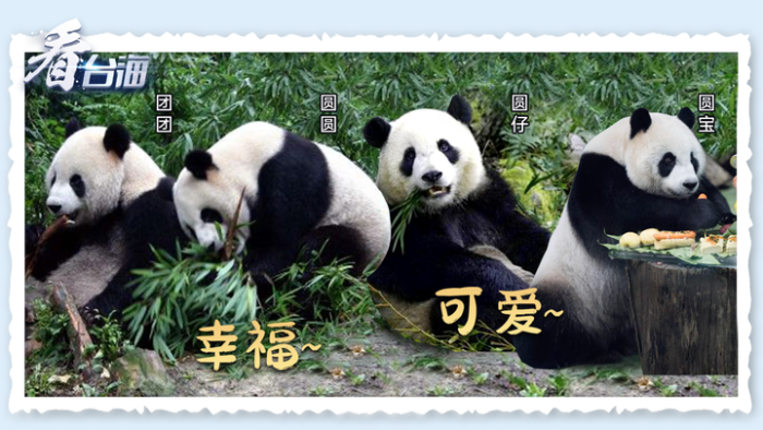 “团团圆圆”命名的初心，17年来从未改变