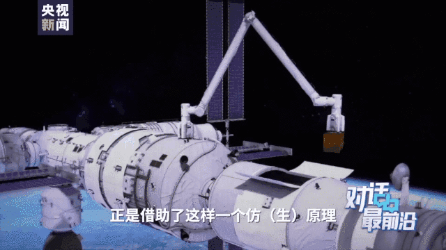 小昆虫竟藏着国之重器的秘密……
