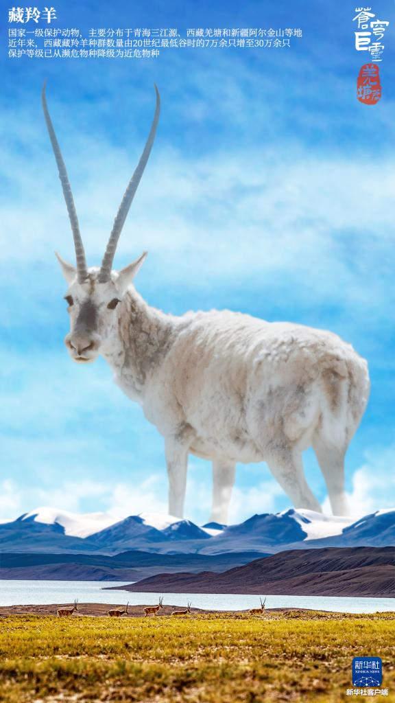 苍穹巨灵·羌塘篇 苍穹巨灵·羌塘篇