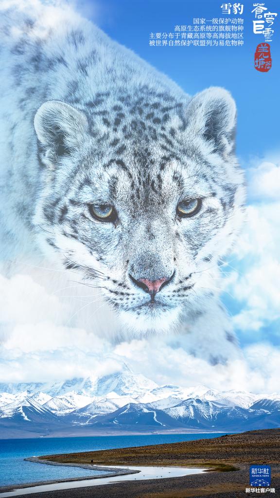 苍穹巨灵·羌塘篇 苍穹巨灵·羌塘篇