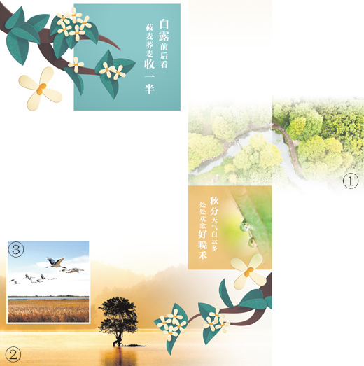 露从今夜白 秋向此时分