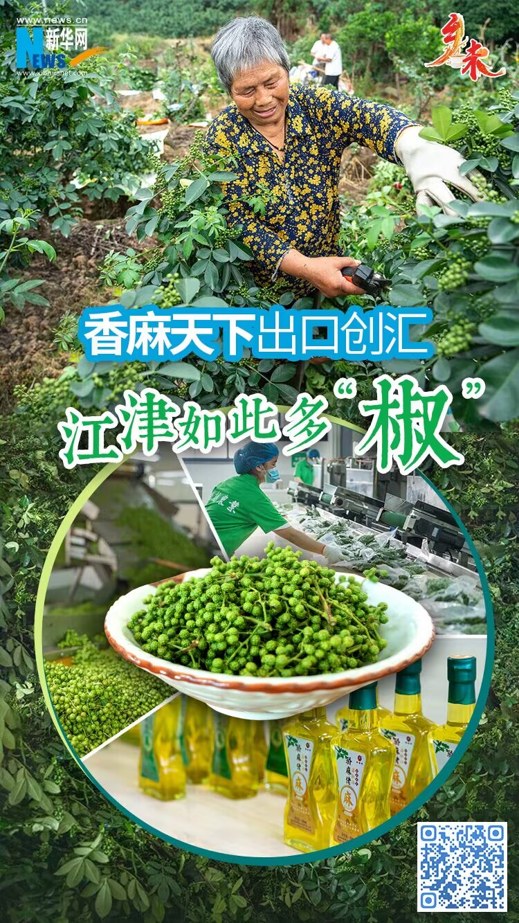 香麻天下出口創(chuàng)匯 江津如此多“椒”