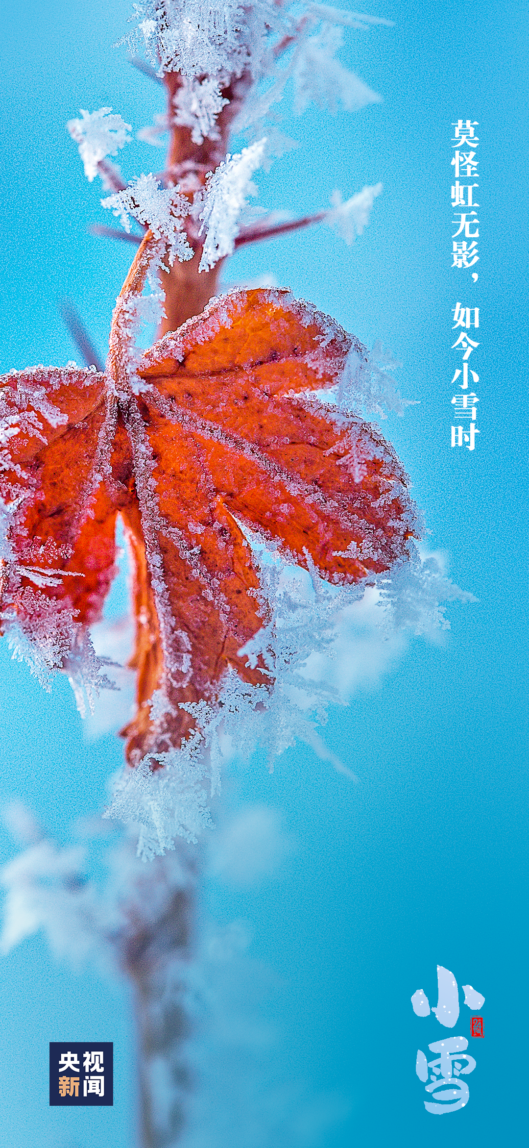 今日，小雪