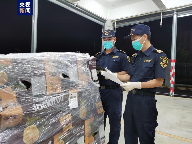 首批马来西亚菠萝蜜通过广西空港口岸入境