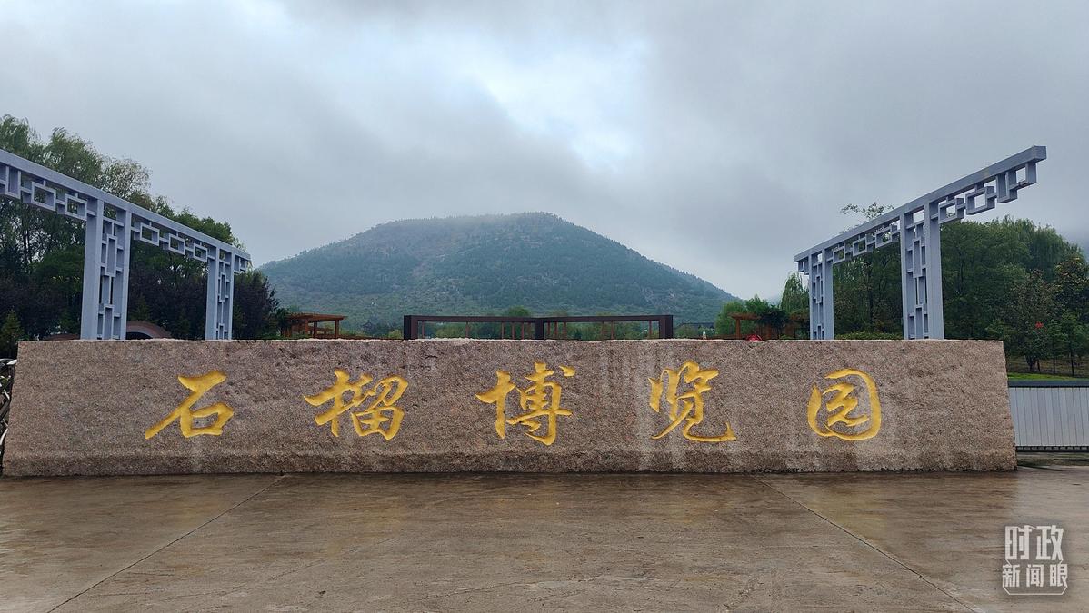 从浙江到山东枣庄，习近平这一次考察重点强调了什么？