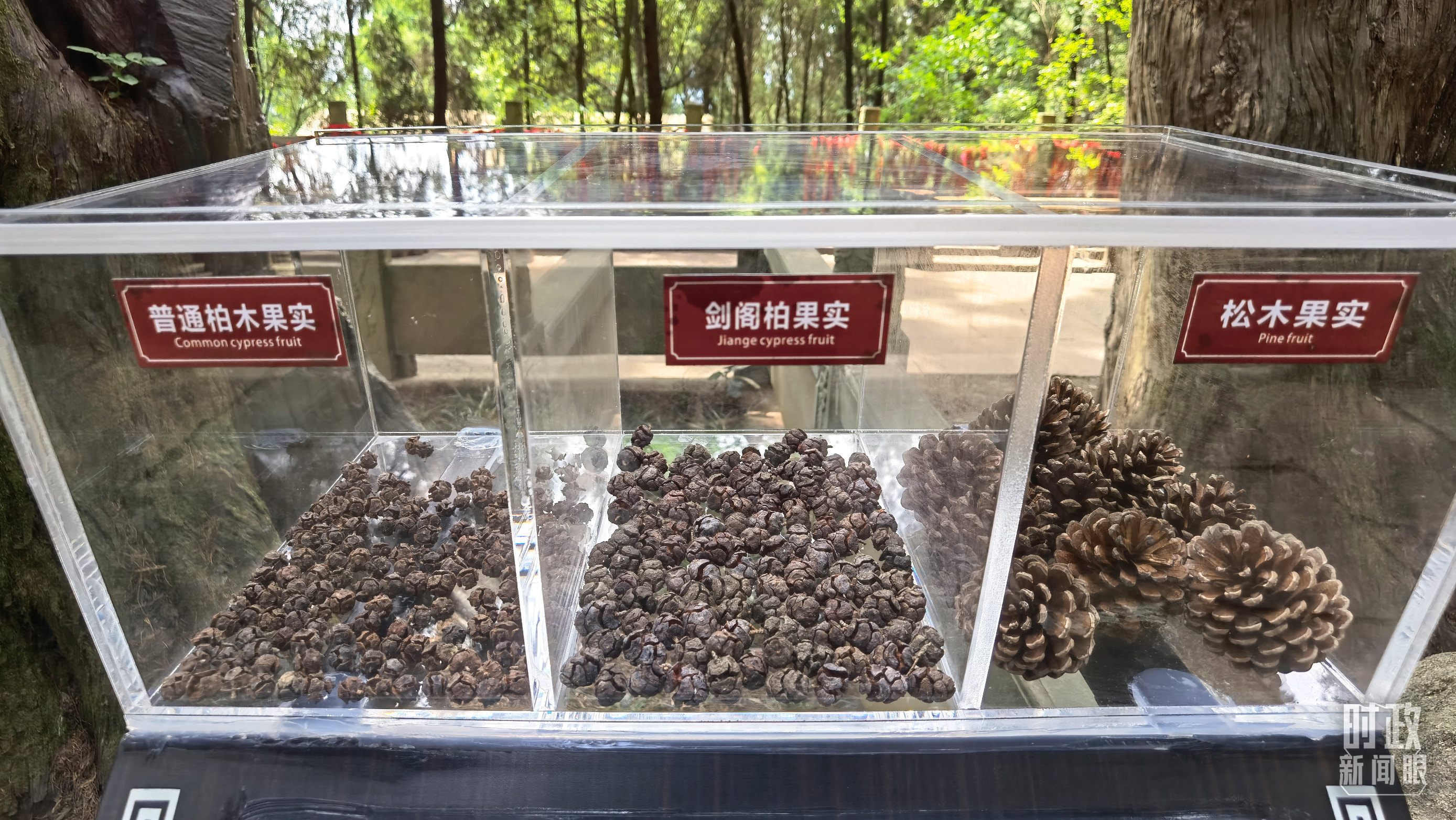 时政新闻眼丨习近平再赴四川，为何专程看了这两个地方？