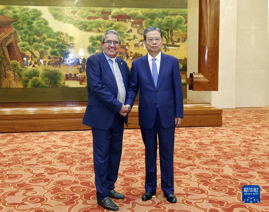 赵乐际同中美洲议会议长塞鲁德举行会谈