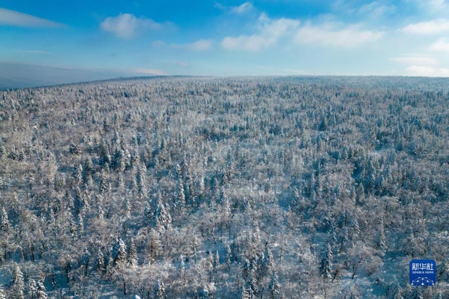 這是2月5日拍攝的“冰雪畫廊”景色。