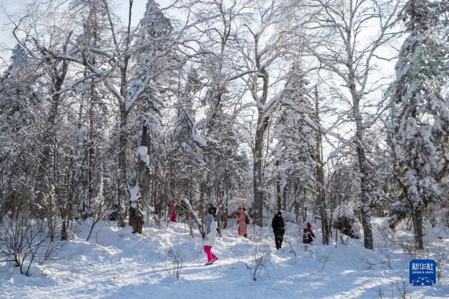 2月5日，游客在“冰雪畫廊”游玩。