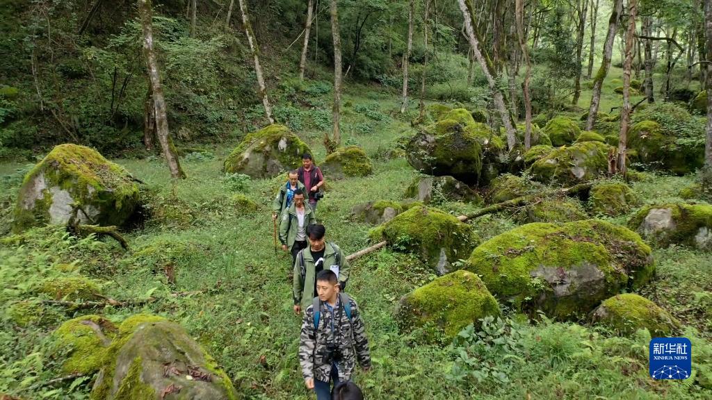 探秘大熊貓國(guó)家公園——共建人與自然和諧共生的樂(lè)園