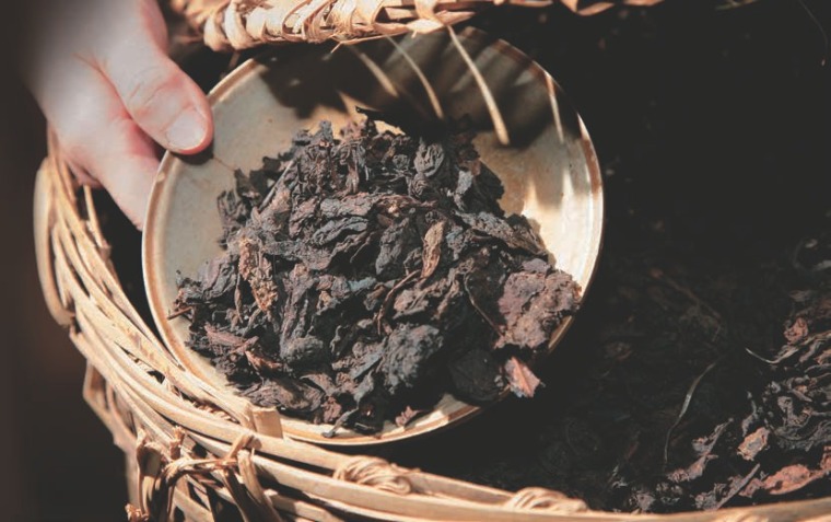 Life With Fragrant Wuzhou Liubao Tea