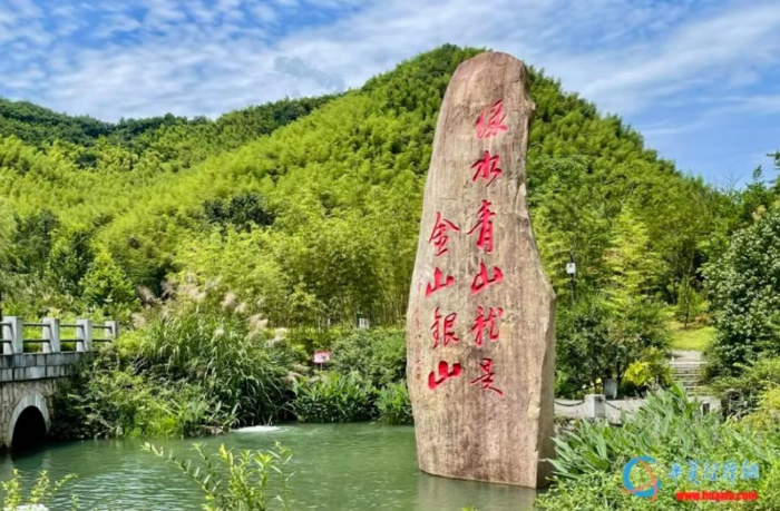 台湾学者谈岛内乡村振兴困境 盼从两岸交流中取经