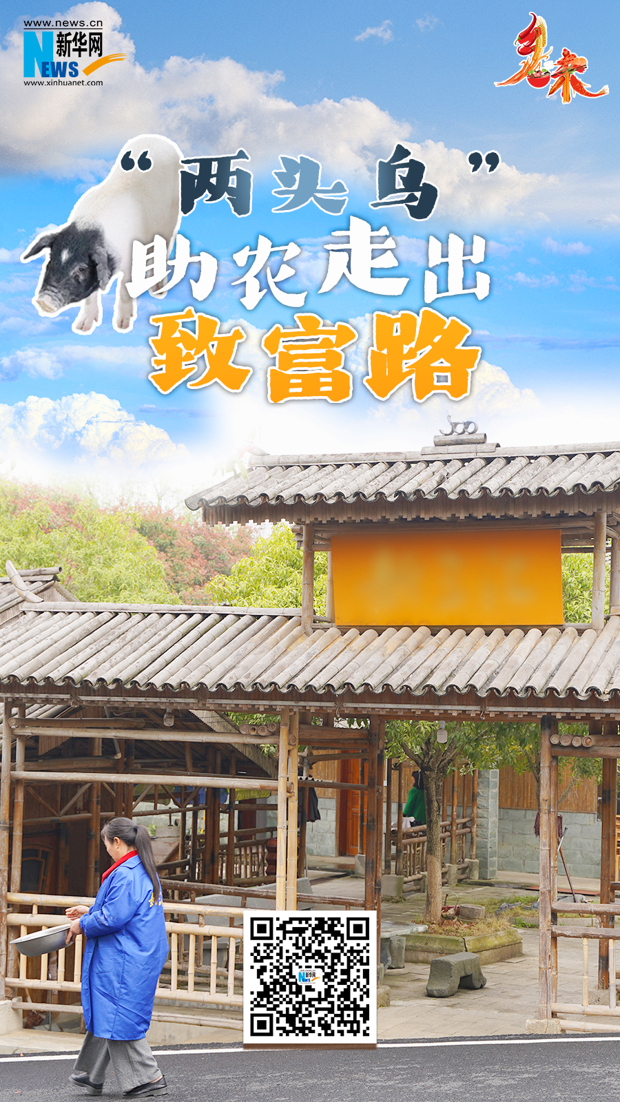 湖北通城：“两头乌”助农走出致富路