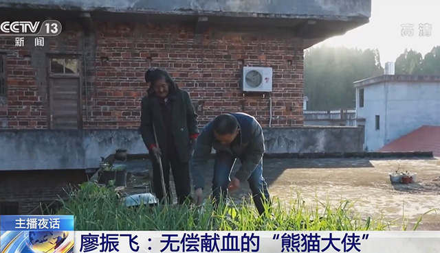 以爱之名 他们用热血点亮生命之光