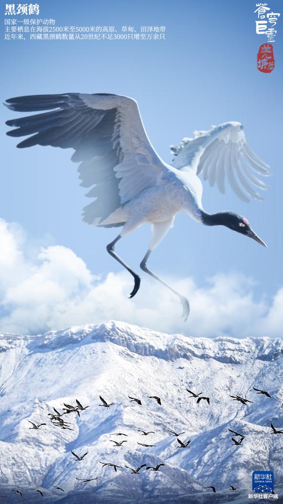 苍穹巨灵·羌塘篇 苍穹巨灵·羌塘篇