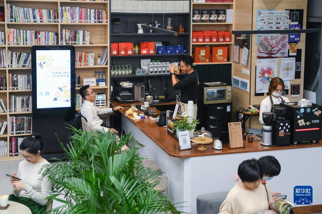 化身一条湾区的鱼 创造一杯“湾区之味”