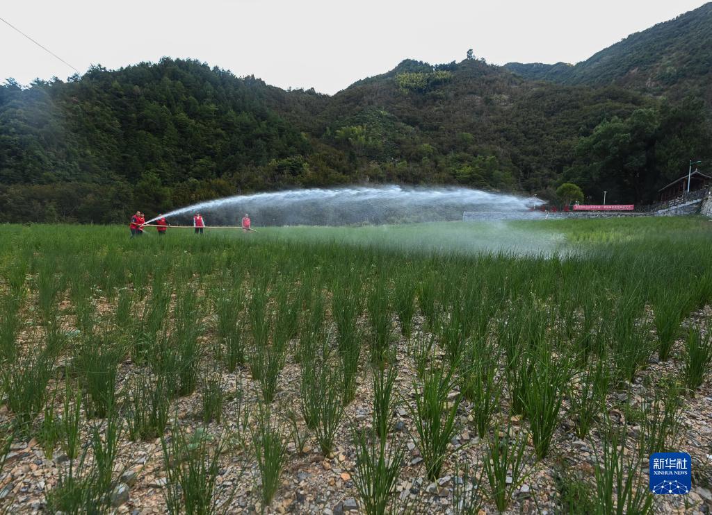 牢牢把住糧食安全主動權(quán)——以習(xí)近平同志為核心的黨中央帶領(lǐng)人民干好這件頭等大事