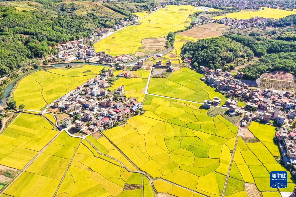 我們的田野——最美秋色是豐收