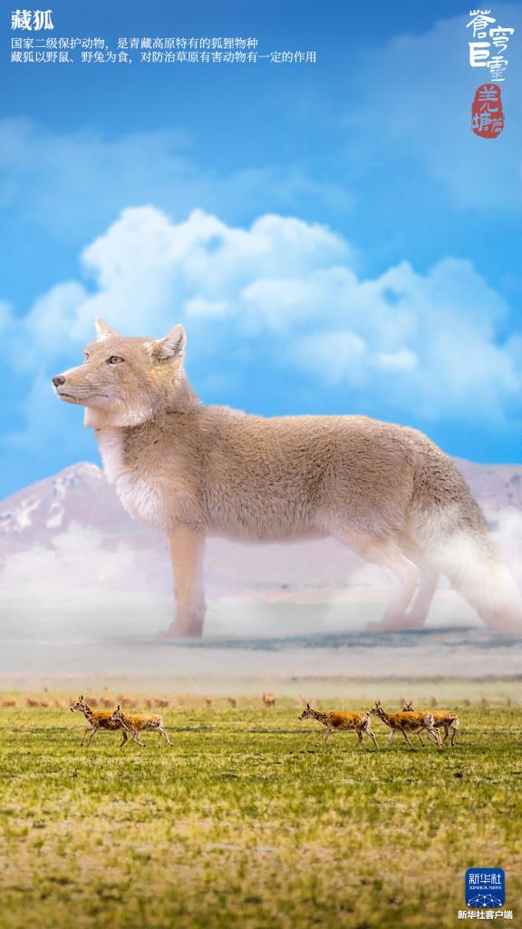 苍穹巨灵·羌塘篇 苍穹巨灵·羌塘篇