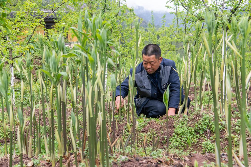 奔跑吧，我的村寨——重慶華溪村蹲點調(diào)研筆記