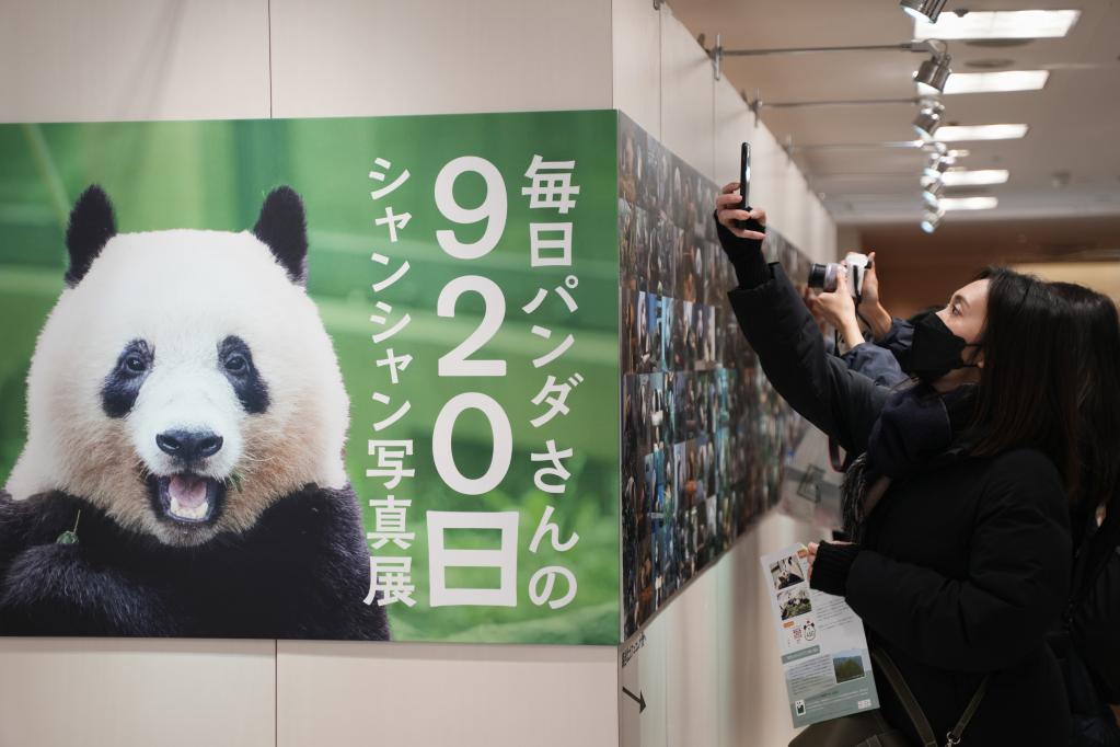 日本民众遥祝中国大熊猫“香香”生日快乐