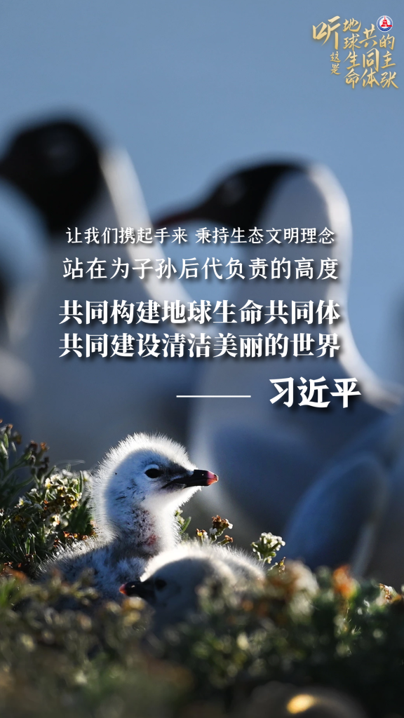 听,这是“地球生命共同体”的主张 听,这是“地球生命共同体”的主张