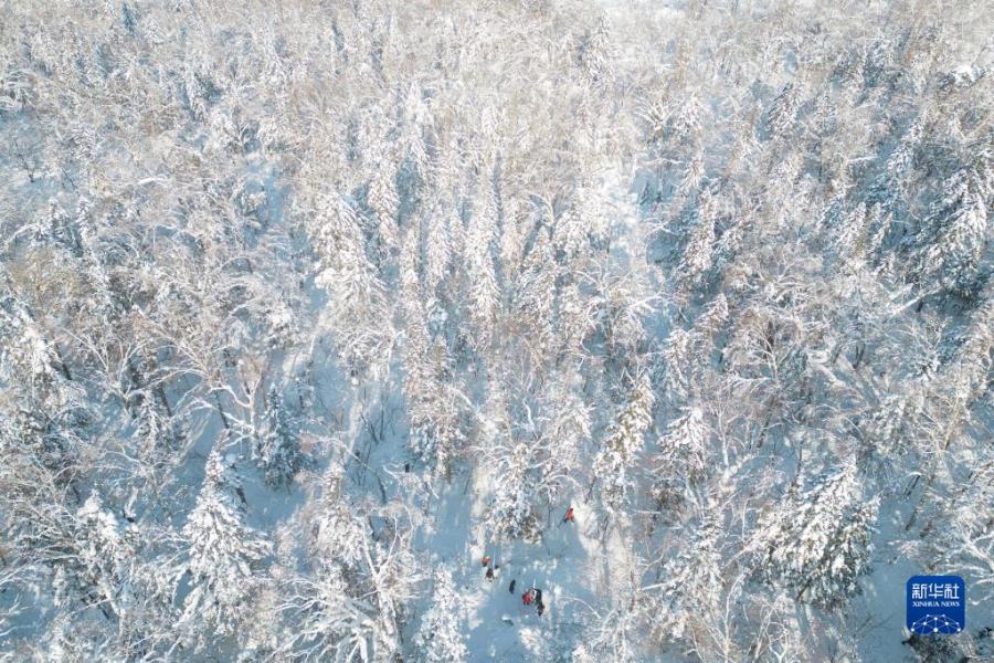 2月5日，游客在“冰雪畫廊”游玩（無人機(jī)照片）。