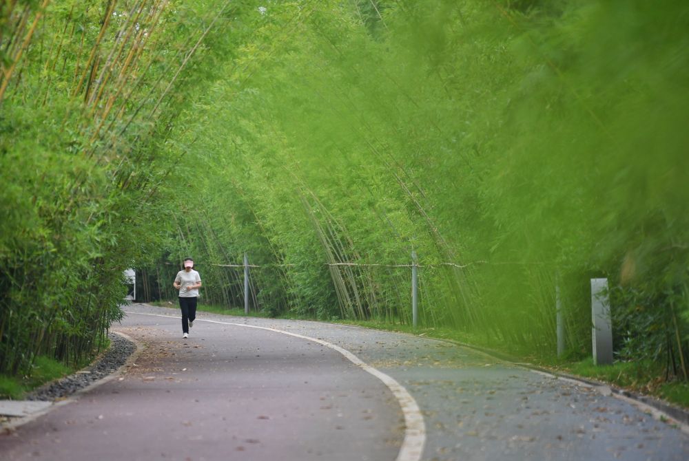 大江焕新颜——人文经济学视野下的长江经济带高质量发展观察