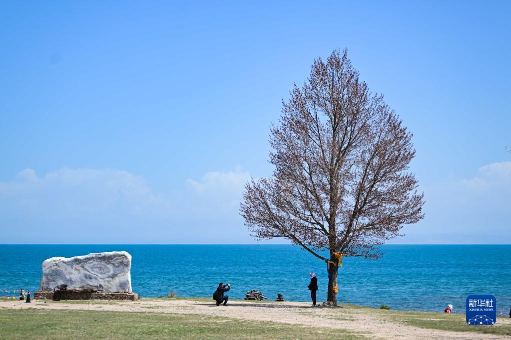 夏日青海湖