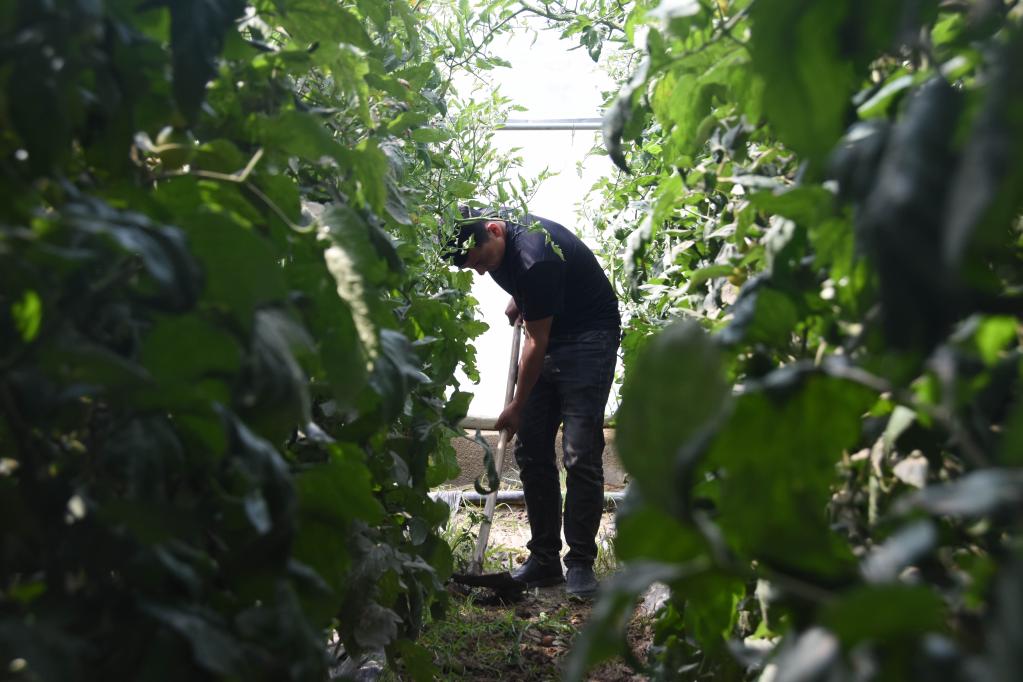 津疆携手　昆仑山农牧民戈壁滩建起新家园