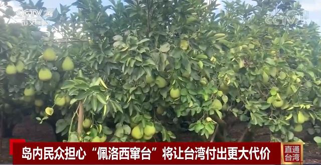 佩洛西窜台给台湾经济造成的恶劣影响仍在发酵