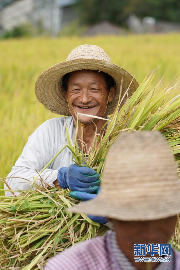 中國農(nóng)民豐收節(jié)來了！ 各地農(nóng)民忙收獲