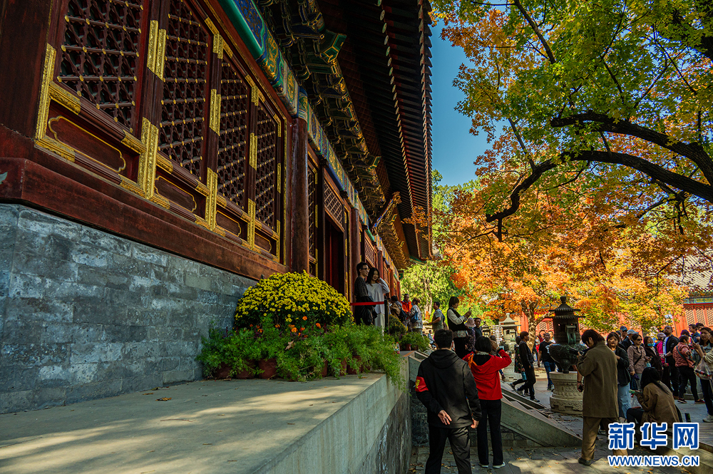 邂逅北京香山公园之秋