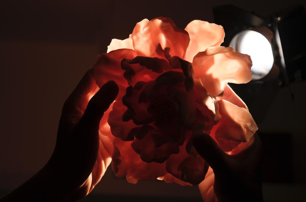 香港陶艺家：巧手捏得牡丹开