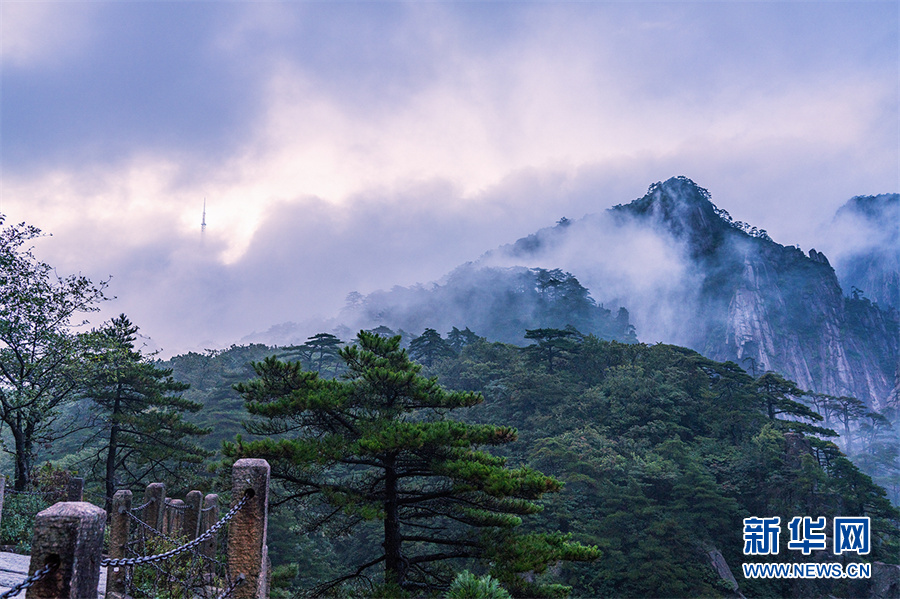 秋日黄山 云蒸霞蔚