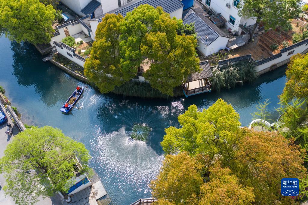 为了万物和谐的美丽家园——习近平生态文明思想的世界启示