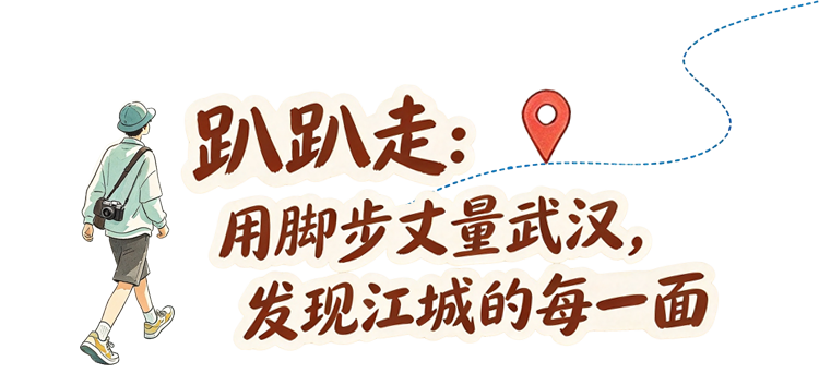 走走看看